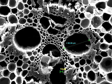 Adsorption du charbon actif binchotan