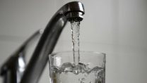 Du chlordecone dans l'eau du robinet en Guadeloupe